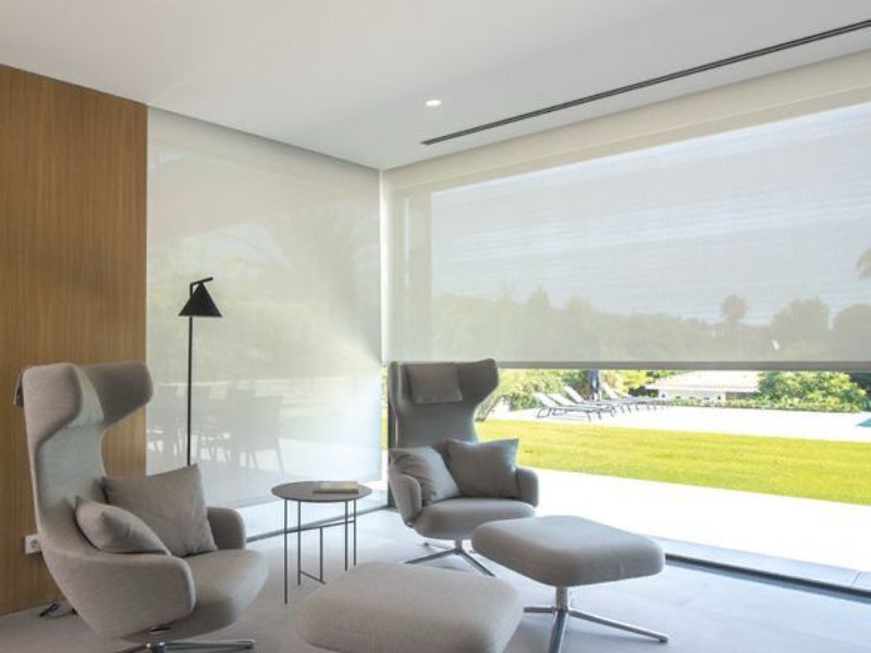 Window Blinds
